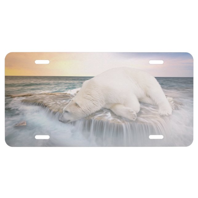 Polar Bear License Plate (Front)