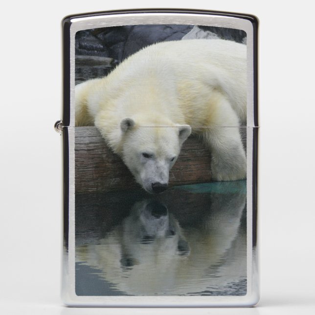 Polar Bear Lighter - Polar Bear Reflections (Front)