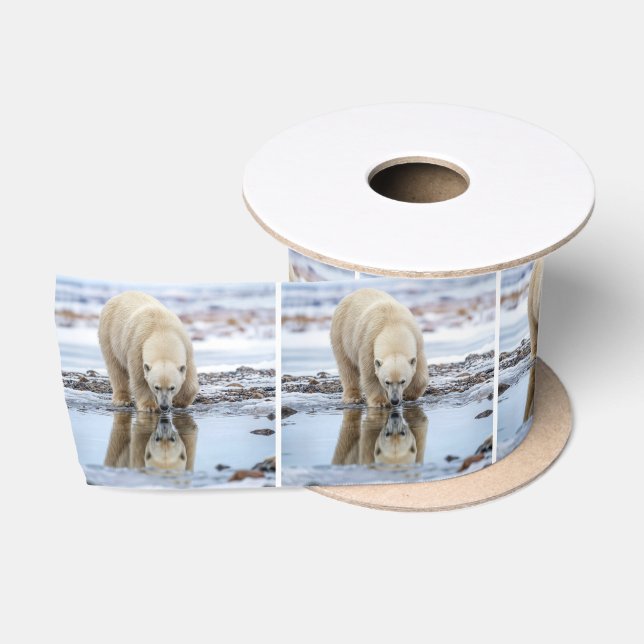 Polar Bear Looking at its Reflection Satin Ribbon (Spool)