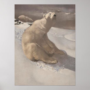 Polar bear lounging in snow vintage illustration poster