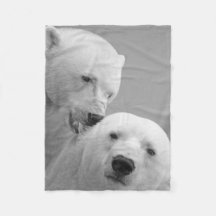 Polar bear Love and Complicity