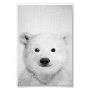 Polar-bear Lover Canvas,Watercolor Polar-bear Photo Print