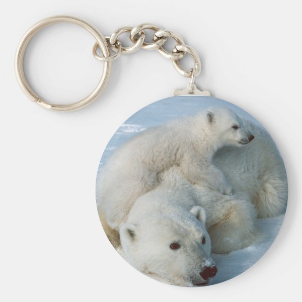 polar bear christmas gifts