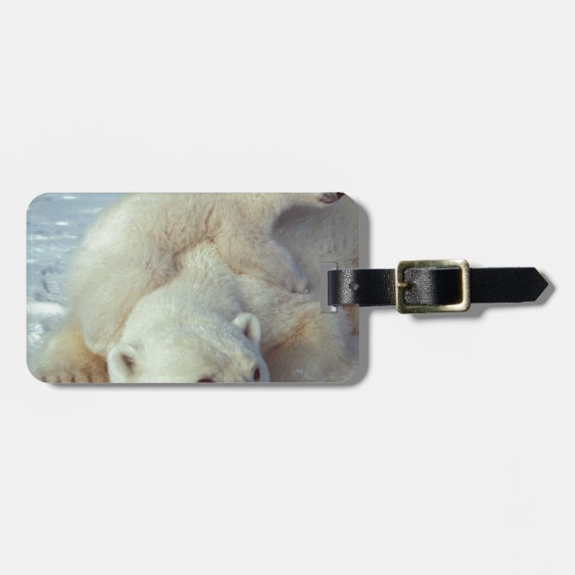 Polar Bear Luggage Tag (Front Horizontal)
