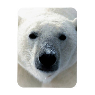 Polar Bear Magnet