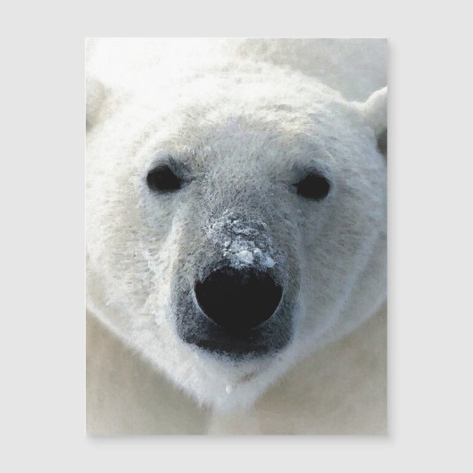 Polar Bear Magnetic Card (Front)