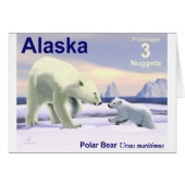 Polar Bear - Mama Nose Best (Front Horizontal)