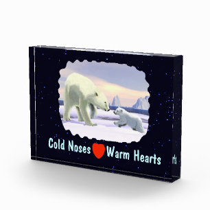 Polar Bear - Mama Nose Best Photo Block