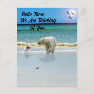 Polar Bear Meets Jack Russell, Hello Postcard