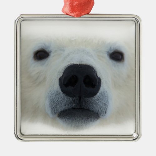 Polar Bear Metal Ornament