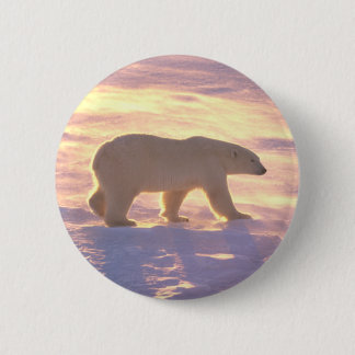 Polar Bear Morn 3 Pinback Button