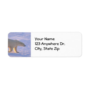 Polar Bear Morn Label