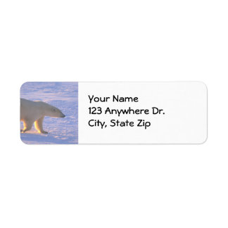 Polar Bear Morn Label