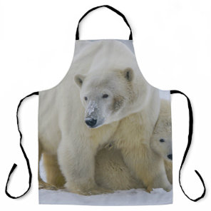 POLAR BEAR MOTHER AND CUB NORTHERN ALASKA APRON