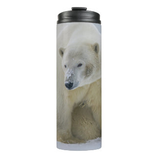 POLAR BEAR MOTHER AND CUB NORTHERN ALASKA THERMAL TUMBLER