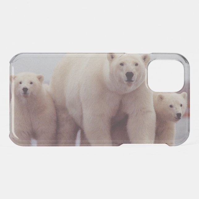 Polar Bear Mother and Cubs Cute Photo Uncommon iPhone Case (Back (Horizontal))