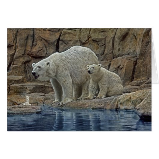 Polar Bear Mother & Cub (Front Horizontal)