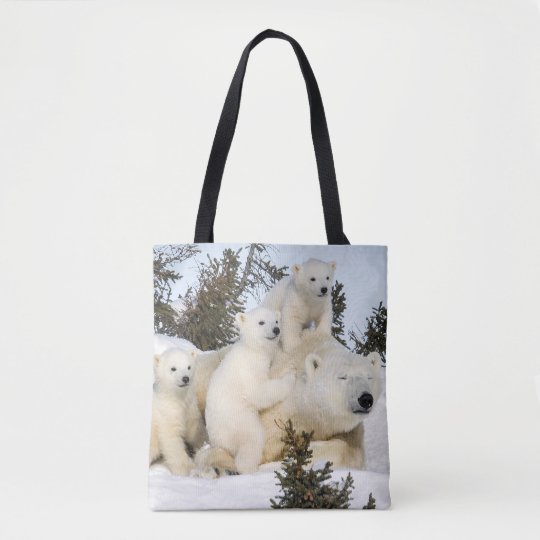 cubs tote bag