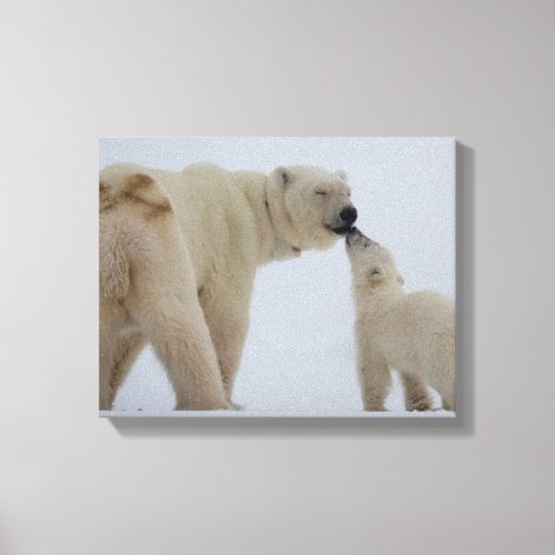 Polar Bear Mother with Cub Canvas Print