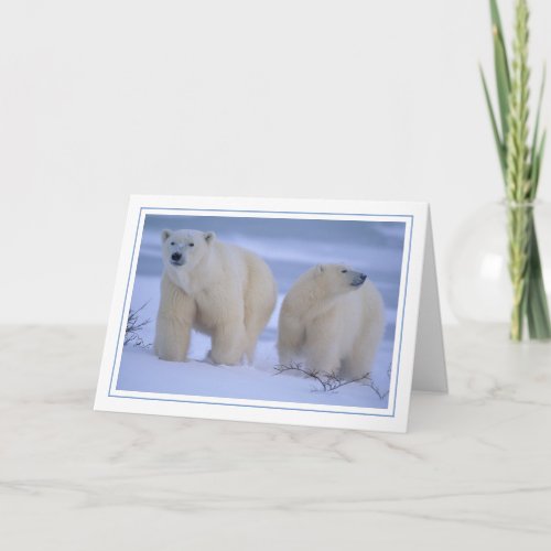 Polar Bear Mother with Cub in Snow Holiday Card