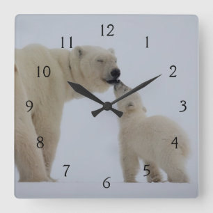 Polar Bear Mother with Cub Square Wall Clock
