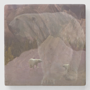 Polar Bear Mountain, Stone Coaster