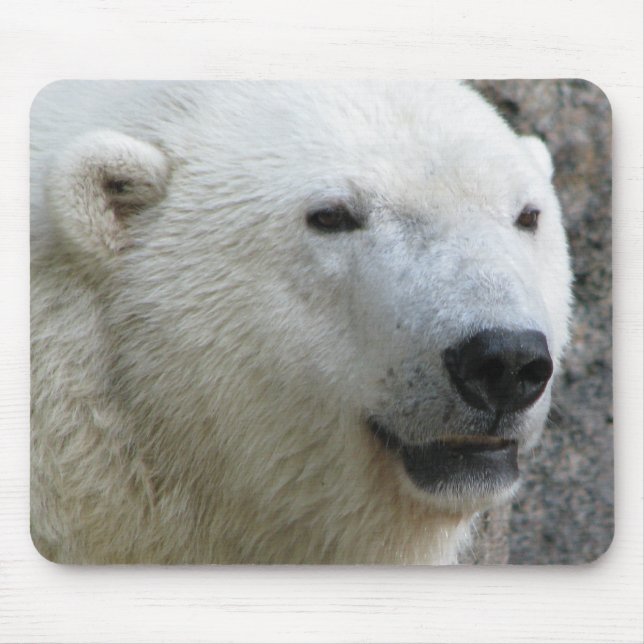 Polar Bear Mouse Pad (Front)