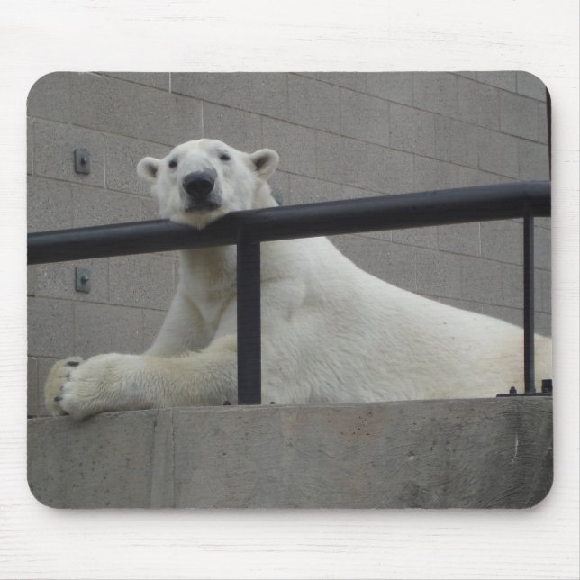 Polar Bear Mouse Pad (Front)