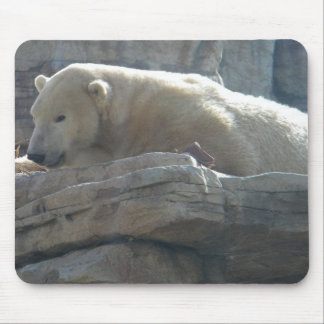 Polar Bear Mouse Pad