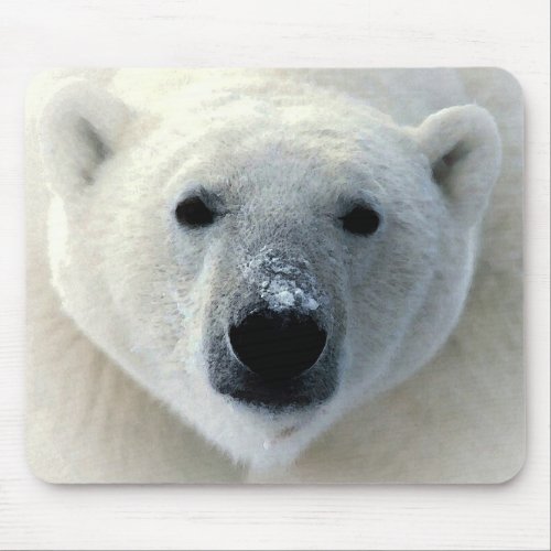 Polar Bear Mouse Pad
