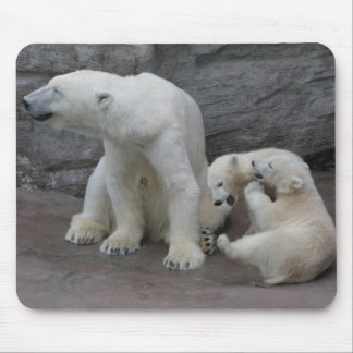 Polar Bear Mum and Cubs Mouse Pad