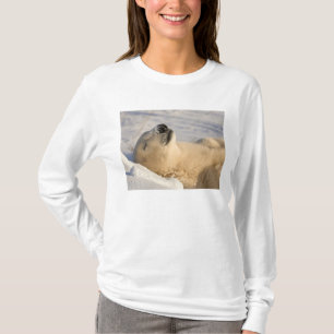Polar Bear Nap T-Shirt