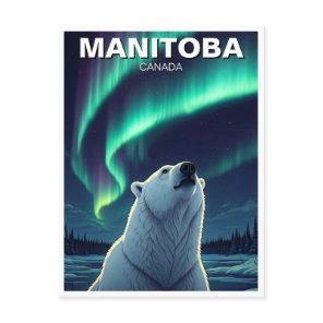 Polar Bear northern lights Manitoba Canada Postcard
