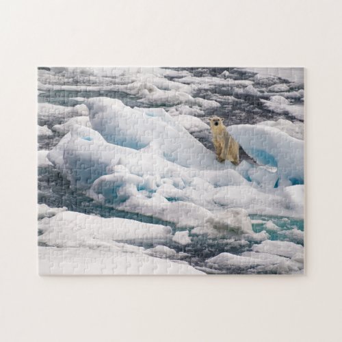 Polar Bear on Blue Iceberg in Arctic Svalbard Jigsaw Puzzle