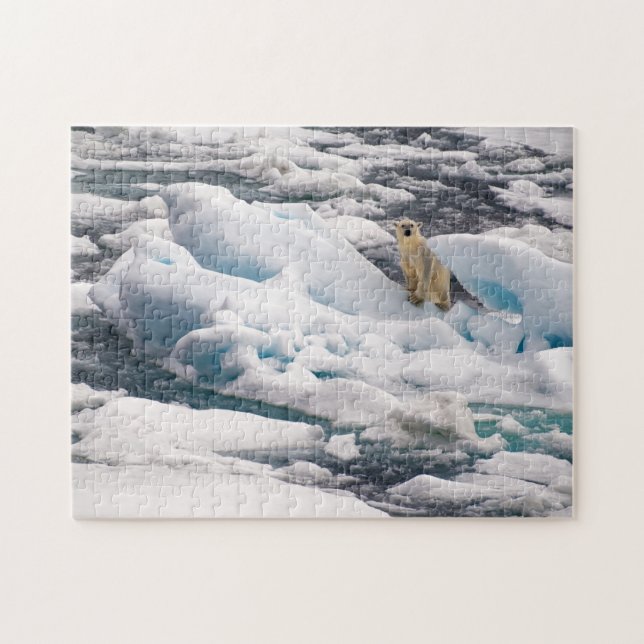 Polar Bear on Blue Iceberg in Arctic Svalbard Jigsaw Puzzle (Horizontal)