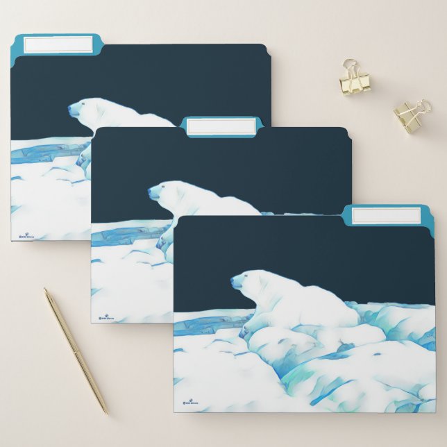 Polar Bear On Ice File Folder (Set)