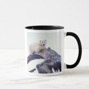 Polar bear on top of a bowhead whale jaw bone, mug