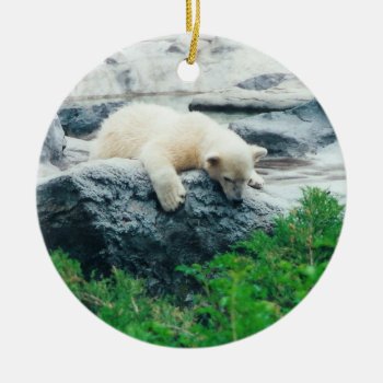 Polar Bear Ornament by RenderlyYours at Zazzle