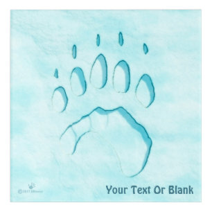 Polar Bear Paw Print Acrylic Print