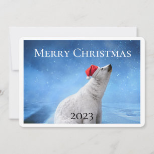 Polar Bear Photo Christmas Greeting Cards