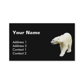 Polar Bear Photo on Black Background Business Card