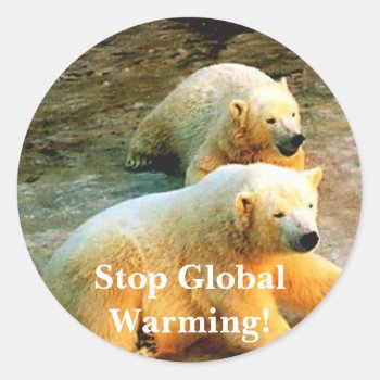 Polar Bear Photo. Stop Global Warming! Classic Round Sticker by epclarke at Zazzle