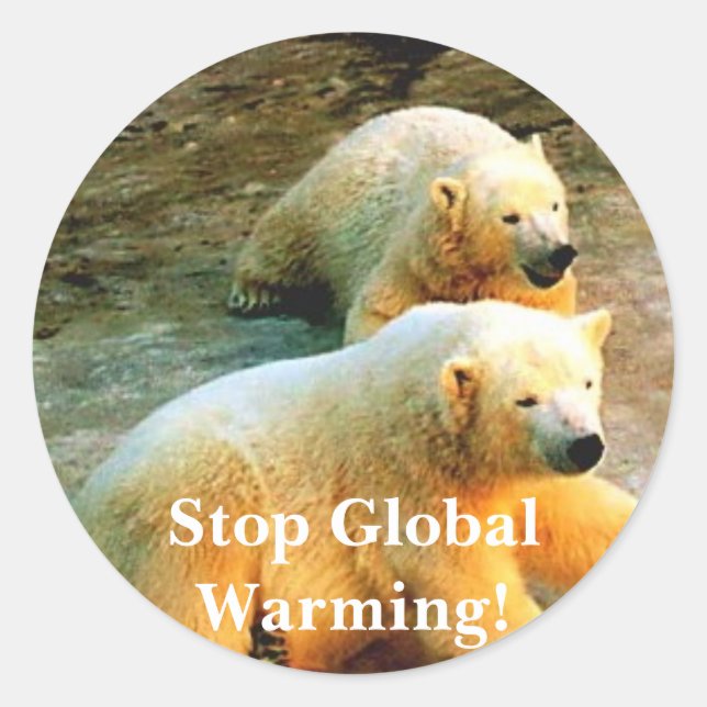 Polar Bear Photo. Stop Global Warming! Classic Round Sticker (Front)
