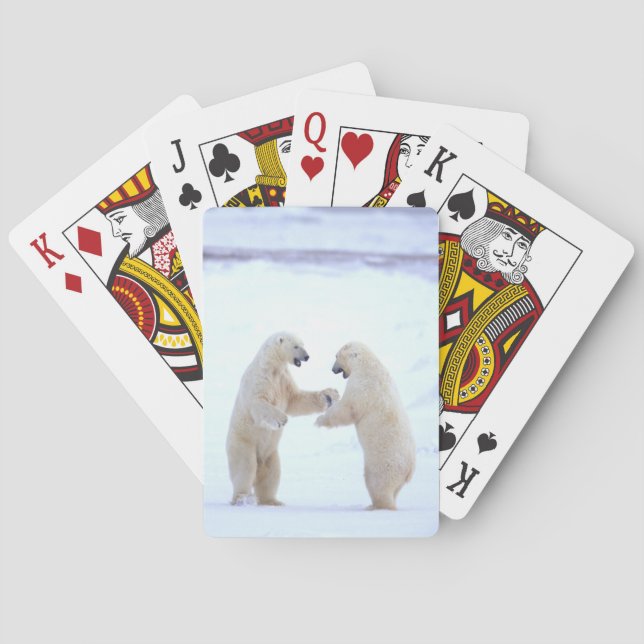 Polar Bear Play Poker Cards (Back)