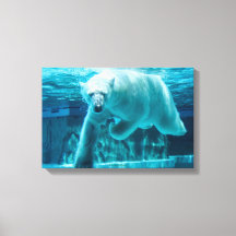 Polar Bear Plunge Clear Blue Water (Landscape) 