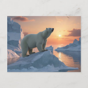 Polar Bear Postcard