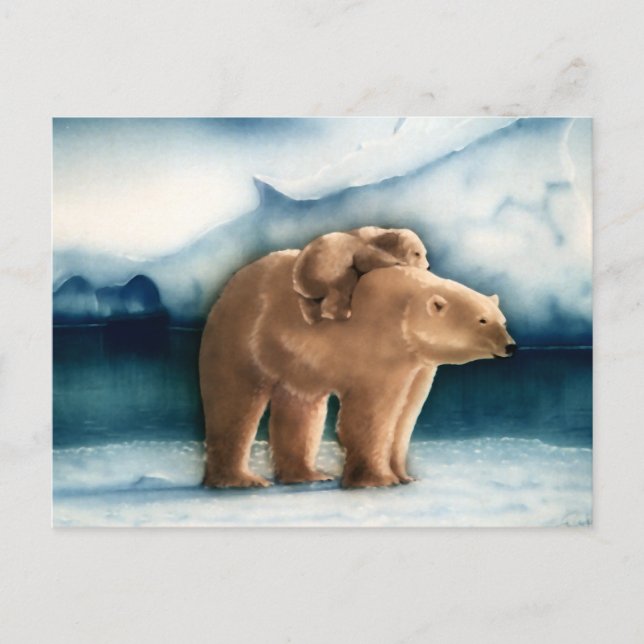 Polar Bear Postcard (Front)