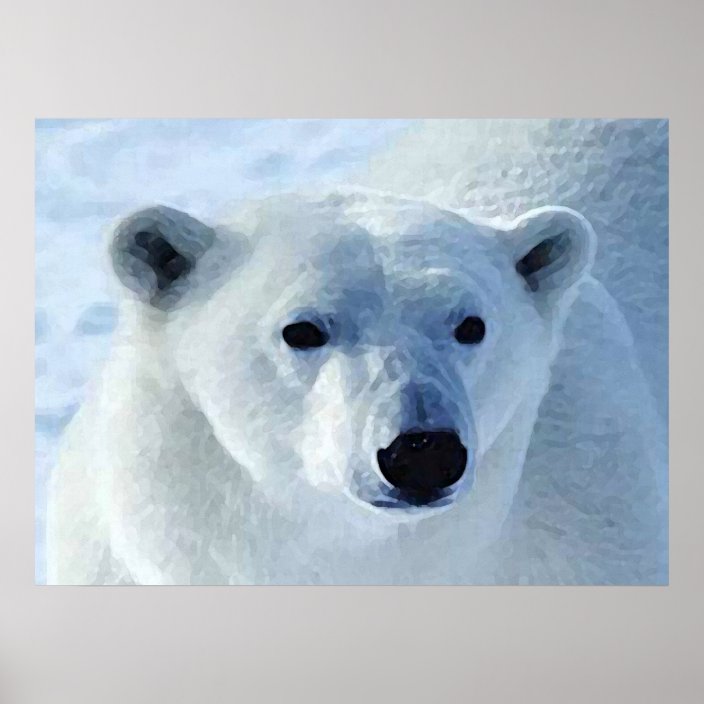 Polar Bear Print | Zazzle.com