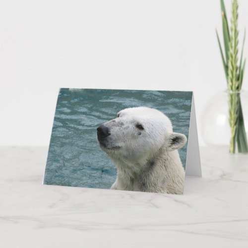 Polar Bear Profile Greeting Card