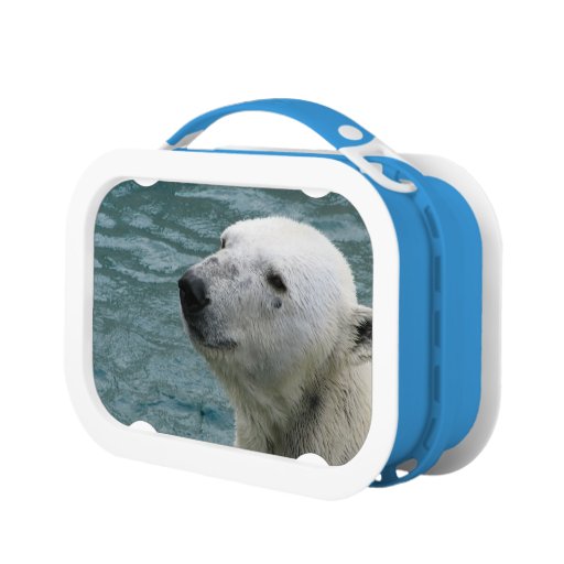 Polar Bear Profile Lunch Box | Zazzle